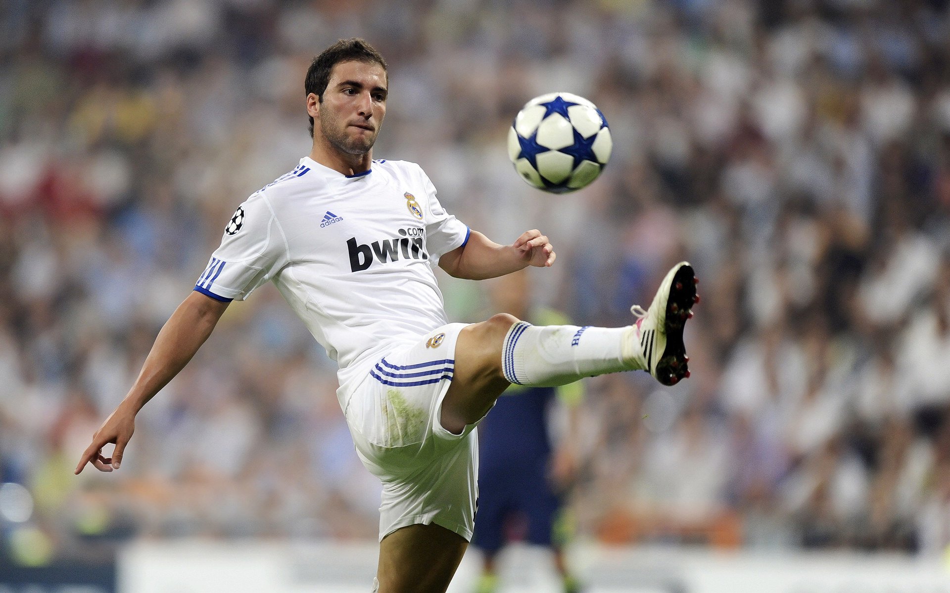 英国球迷赴现场观赛热情高涨 创历史新高，英国看球赛